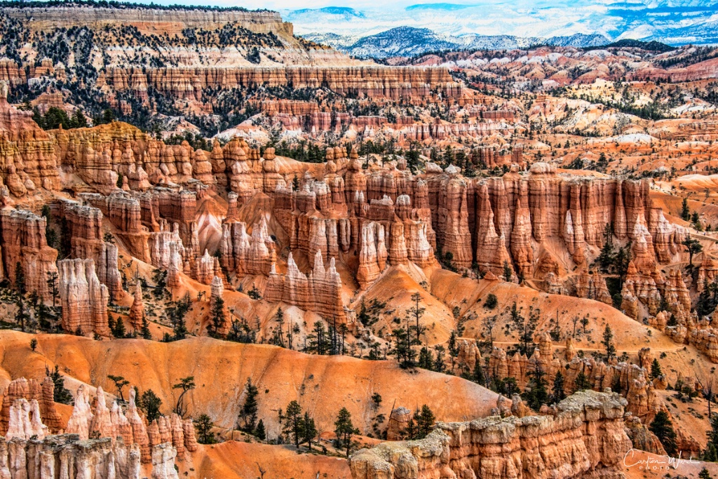 Bryce Canyon 1216a