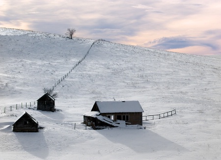 Snowy Past