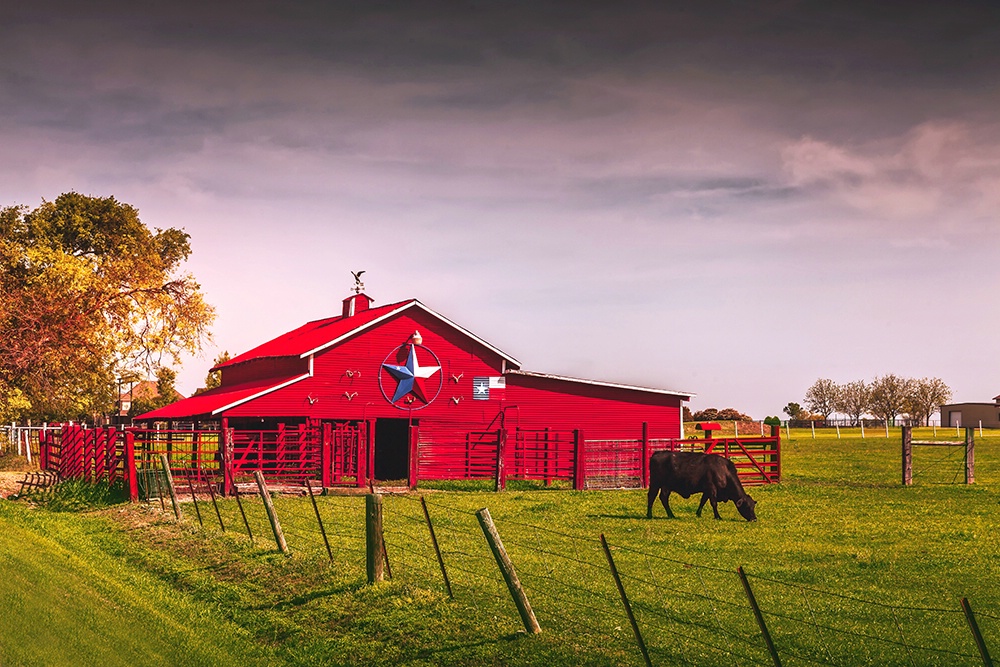 Rural Texas