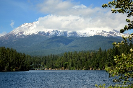 Snow Covered Mt. Shasta