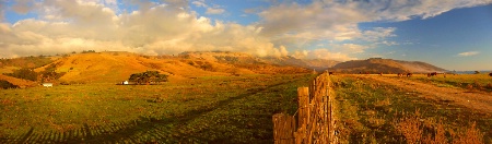 Golden countryside in Golden state...