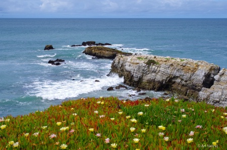 California Coast