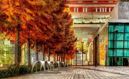 Fort Worth - Fall Scene