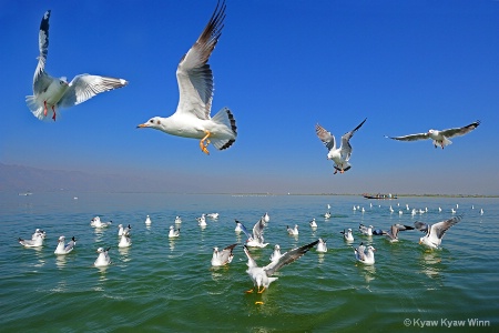 Flights in Inle