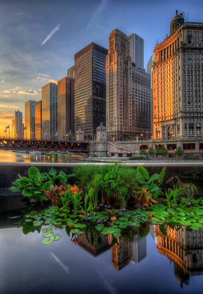 Chicago Reflections