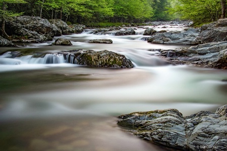 Little Pigeon RIver in Smoky Mountains