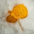 © Pamela Bosch PhotoID # 15720066: Fall Aspen Leaves on snow